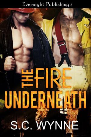 Cover of the book The Fire Underneath by Jess Martin, Christina Rosso, Dale Cameron Lowry, Jennifer Loring, Chantal Boudreau