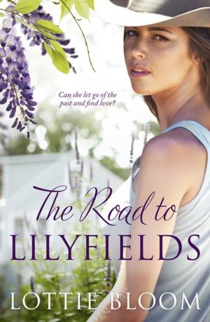 Book cover of The Road to Lilyfields