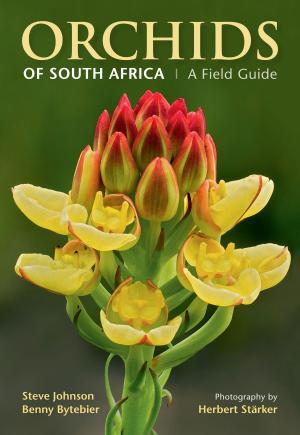 bigCover of the book Orchids of South Africa by 