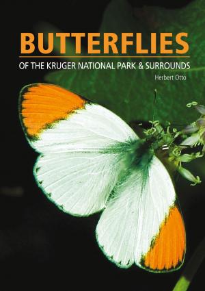 Book cover of Butterflies of the Kruger National Park and Surrounds