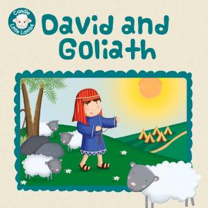 Cover of the book David and Goliath by Dan Cooley