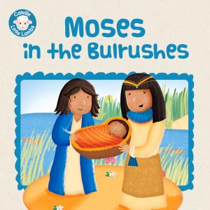 Cover of the book Moses in the Bulrushes by Simon Atkins