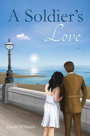 Cover of the book A Soldier's Love by Raphael Wilkins