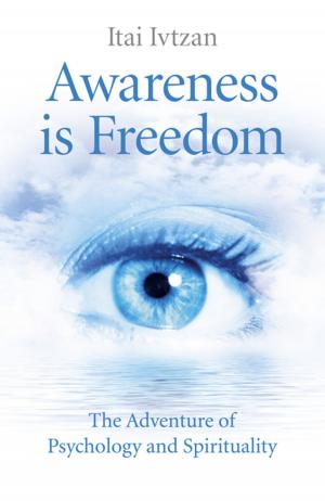 Cover of the book Awareness Is Freedom by Steven Ingman-Greer