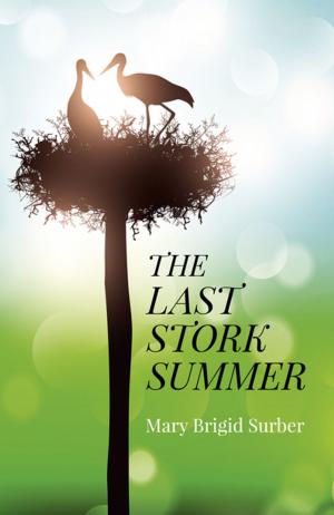 Cover of the book The Last Stork Summer by Melusine Draco
