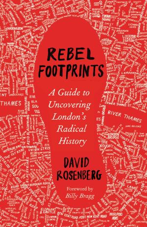 Book cover of Rebel Footprints