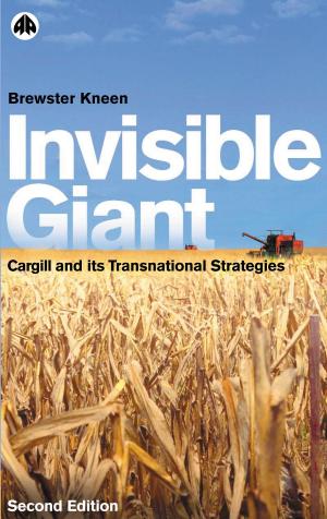 Cover of the book Invisible Giant by Jonathan Cook