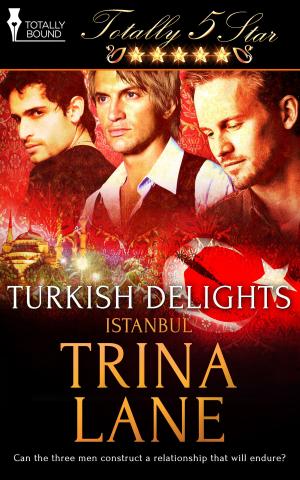 Cover of the book Turkish Delights by Morticia Knight