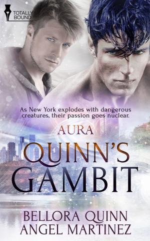 Cover of the book Quinn's Gambit by Imari Jade