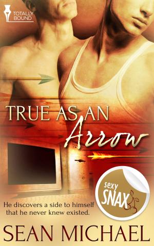 Cover of the book True as an Arrow by Kim Dare