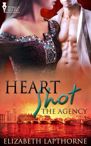 Cover of the book Heart Shot by Cerise DeLand