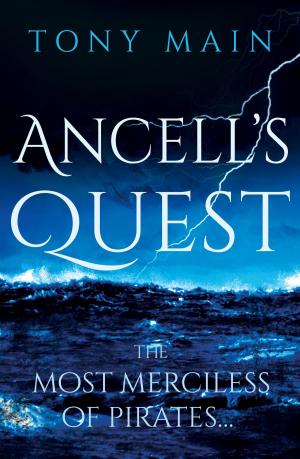 Cover of the book Ancell's Quest by Fred Onymouse