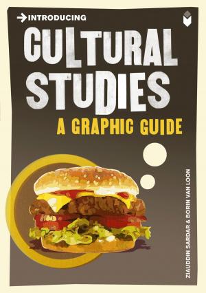Cover of the book Introducing Cultural Studies by James Steen