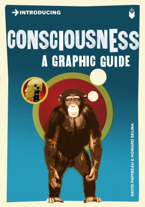 Cover of Introducing Consciousness