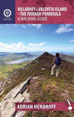Book cover of Killarney to Valentia Island