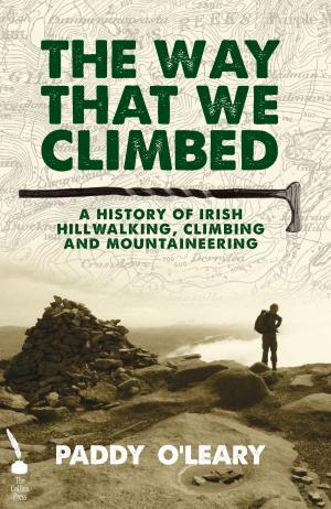 Book cover of The Way That We Climbed: A History of Irish Hillwalking, Climbing and Mountaineering