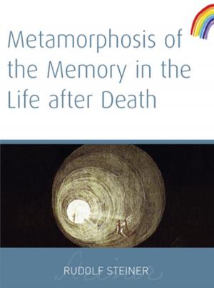Cover of the book Metamorphosis of The Memory In The Life After Death by Jonathan Chamberlain