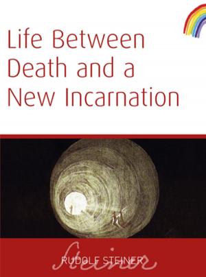 Cover of the book Life Between Death And a New Incarnation by Rudolf Steiner
