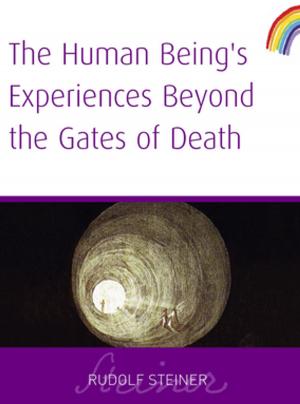 Cover of the book Human Being's Experiences Beyond The Gates of Death by Matthew Fox, Rupert Sheldrake