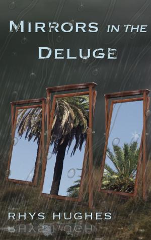 Cover of the book Mirrors in the Deluge by Katrina Mountfort