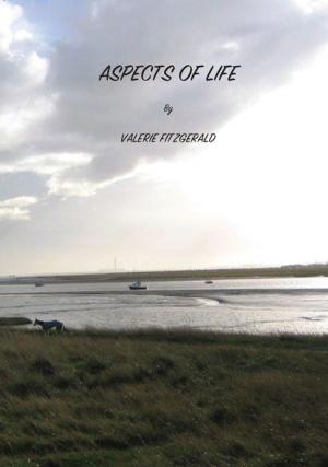 Cover of the book Aspects of Life by Caroline Bock