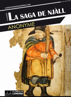 Book cover of La saga de Njáll