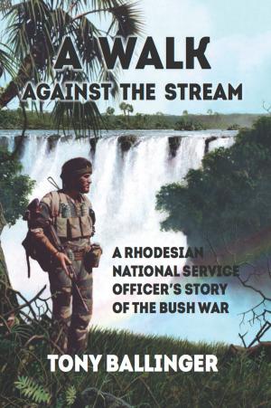 bigCover of the book A Walk Against The Stream by 