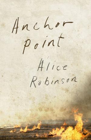 Cover of the book Anchor Point by Angela Pippos