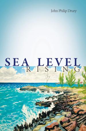 Cover of the book Sea Level Rising - Poems by Maggie Craig