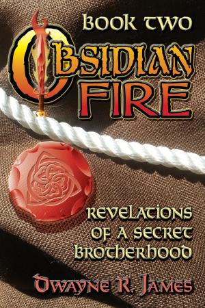 Book cover of Obsidian Fire: Revelations of a Secret Brotherhood