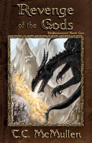 Cover of the book Revenge of the Gods: Disillusionment Book Two by Shannon Airmid
