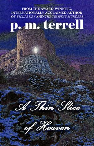 Cover of the book A Thin Slice of Heaven by Jess Mahler
