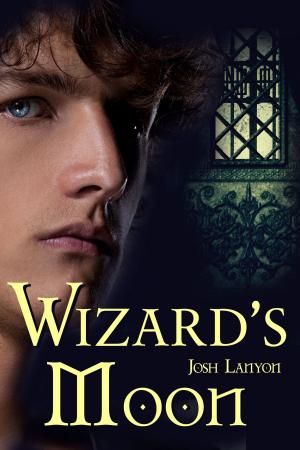 Cover of the book Wizard's Moon by Josh Lanyon