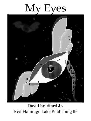 Cover of the book My Eyes by David Bradford Jr.