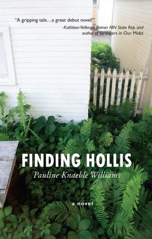 bigCover of the book Finding Hollis by 