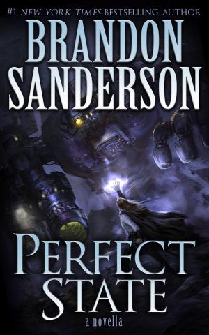 Book cover of Perfect State