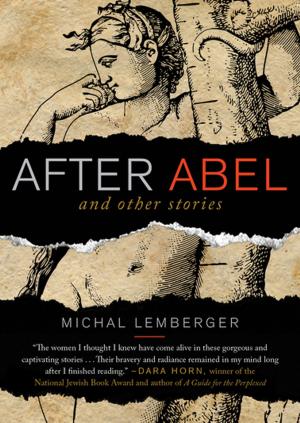 Cover of the book After Abel by Jared Talbert