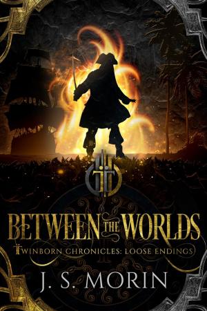 Cover of the book Between the Worlds by David K. Anderson
