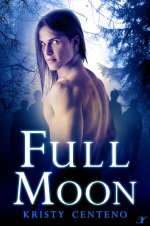 Cover of the book Full Moon by Ashley Pagano