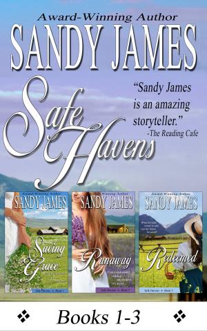 bigCover of the book Safe Havens Bundle by 