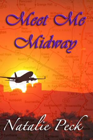 Cover of the book Meet Me Midway by the editors of The Electric Scroll