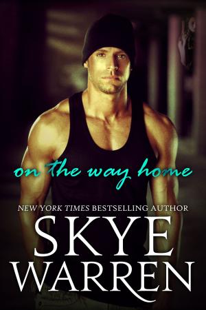 Cover of the book On the Way Home by Skye Warren