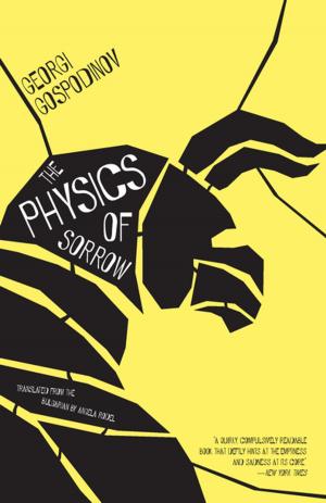 Cover of the book The Physics of Sorrow by Hubert Haddad
