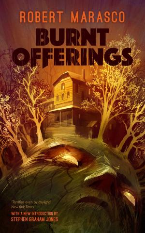 Cover of the book Burnt Offerings by David Case