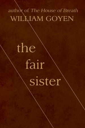 Cover of the book The Fair Sister by Mathias Svalina