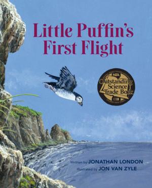 Cover of the book Little Puffin's First Flight by Jim Rearden