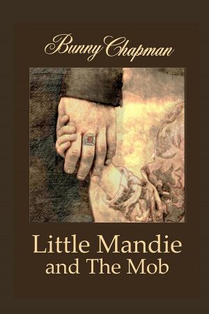 Cover of Little Mandie and The Mob