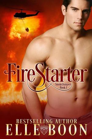 Cover of the book FireStarter by Lisa Williamson