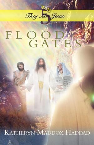 bigCover of the book Flood Gates by 
