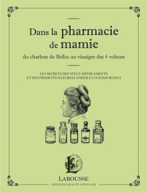 Cover of the book Dans la pharmacie de mamie du charbon de Belloc au vinaigre des 4 voleurs by Valéry Drouet